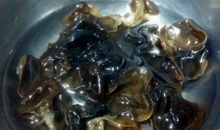 木耳粉做法（木耳粉怎么吃好吃又简单）