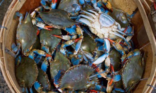 醉蟹做法（醉蟹的做法和调料）