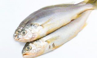 波浪鱼做法 波浪鱼做法窍门