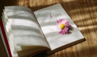 闻过则喜名词解释（闻过则喜的近义词是什么）