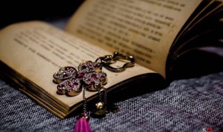 神采焕发名词解释 神韵名词解释