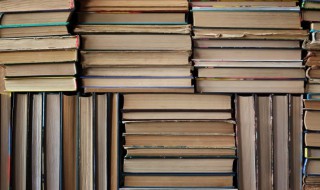 跌荡不拘名词解释