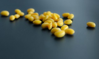 大豆是什么豆呢(什么叫大豆)