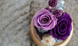 永生花制作液（永生花制作液是什么）