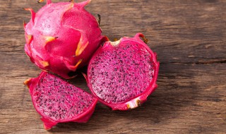 火龙果种苗是怎么种植的 火龙果的苗怎么种植方法