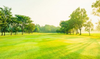 农村三块地具体哪三块（农村三块地是指哪三块地）