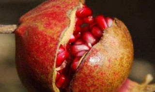 温性水果有哪些列表 温性水果都有啥?