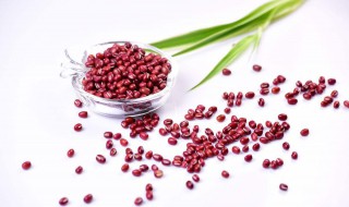 相思豆有毒吗是指红豆吗 相思豆有毒性吗?