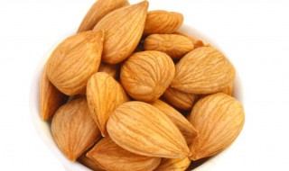 南杏仁的功效与作用点(南杏仁的功效与作用吃法大全)