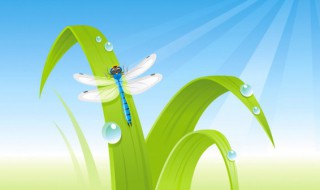 有益的昆虫有哪些?（昆虫类的虫子有哪些）