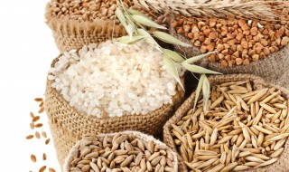 古代五谷杂粮是指哪五谷 古代五谷杂粮是指哪五谷的意思