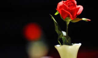 白色情人节是什么?（白色情人节是什么日期）