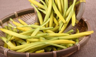 黄花菜的功效和作用有哪些 黄花菜的功效和作用有哪些禁忌