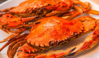 庐江县土特产有哪些（庐江有什么土特产）