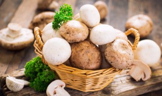 种蘑菇的方法有哪些 种蘑菇的方法有哪些呢