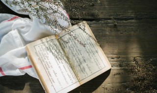 冒天下之大不韪是什么意思（冒天下之大不韪是什么短语）