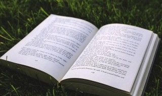 艳红是什么意思 艳红啥意思