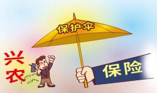 农村三农保险指那些 三农保险范围