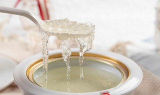 雪燕的功效 雪燕的功效与作用禁忌