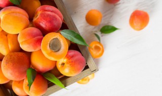 夏季温性水果有哪些（夏季温性的水果有哪些）