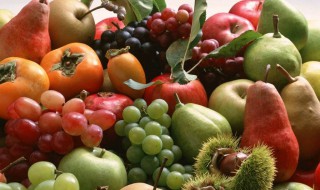 秋天成熟的瓜果粮食有哪些（秋天成熟的瓜果粮食有哪些呢）