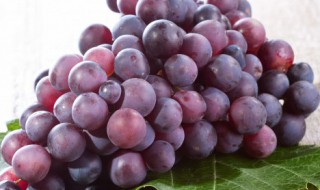 自制葡萄酒能保存多久还能喝（自制葡萄酒能保存多久还能喝了）