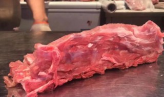 龙骨是什么骨头猪 龙骨是指猪的哪个部位