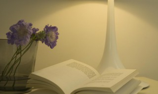 轻易是什么意思(轻易的含义)