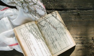 非常劳累的四字词语(非常劳累的四字词语有哪些)