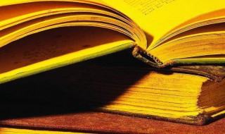 射水是什么意思 什么叫射水法