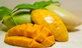 芒果种子怎么种植(芒果种子怎么种植能长出芒果树)