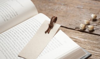 历史单刀赴会的成语故事（历史单刀赴会的成语故事有哪些）