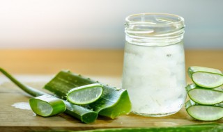 库拉索芦荟怎么种植（库拉索芦荟怎么种植?）