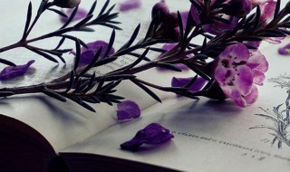 九虎是什么意思（九虎念什么意思）