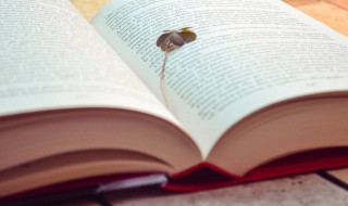 瑜亮是什么意思（瑜亮li）