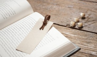 沐猴而冠的历史典故及成语故事（沐猴而冠成语故事原文）