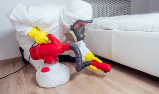 灭跳蚤最有效的方法敌敌畏 灭跳蚤用敌敌畏还是敌杀死