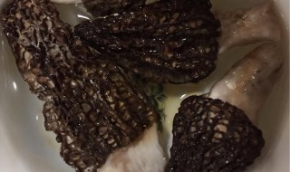 干羊肚菌怎么泡发洗净 干羊肚菌怎么泡发最好