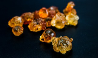 自己摘的桃胶怎么处理晒干 自己摘的桃胶怎么处理晒干了