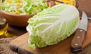 洗过的白菜怎么保存（洗过的白菜怎么保存不会坏）