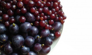 葡萄怎么洗才干净提子 葡萄怎么洗才干净提子好吃