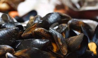 淡菜怎么清洗里面? 淡菜如何清洗