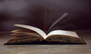 戻字怎么读 戻字怎么读?什么意思?