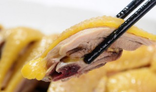 老母鸡煲汤放什么食材(煲鸡汤放什么材料好)