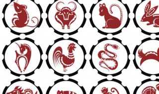 2022是什么命（2022是什么命 五行属什么）