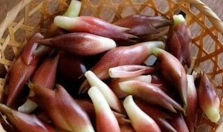 洋荷怎么做好吃 洋荷怎么做好吃视频