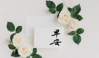 早晨客户问候语大全 早晨客户问候语大全简短