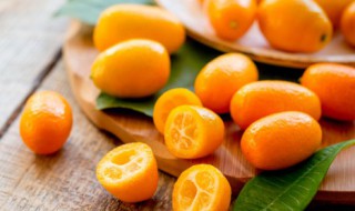 广西12月水果特产有哪些水果(广西十二月份有什么水果)