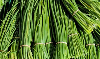 一年四季都可以种的菜有哪些? 一年四季都可以种的菜有哪些图片