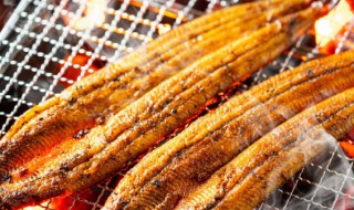 含铁的食物和水果蔬菜有哪些（含铁的食物和水果蔬菜有哪些孕妇吃）